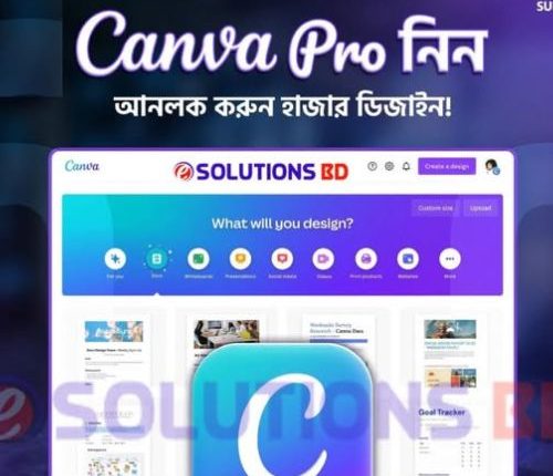 Canva Pro ( ১ বছরের জন্য )